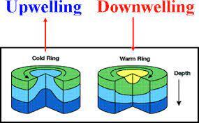 Upwelling vs downwelling eddies